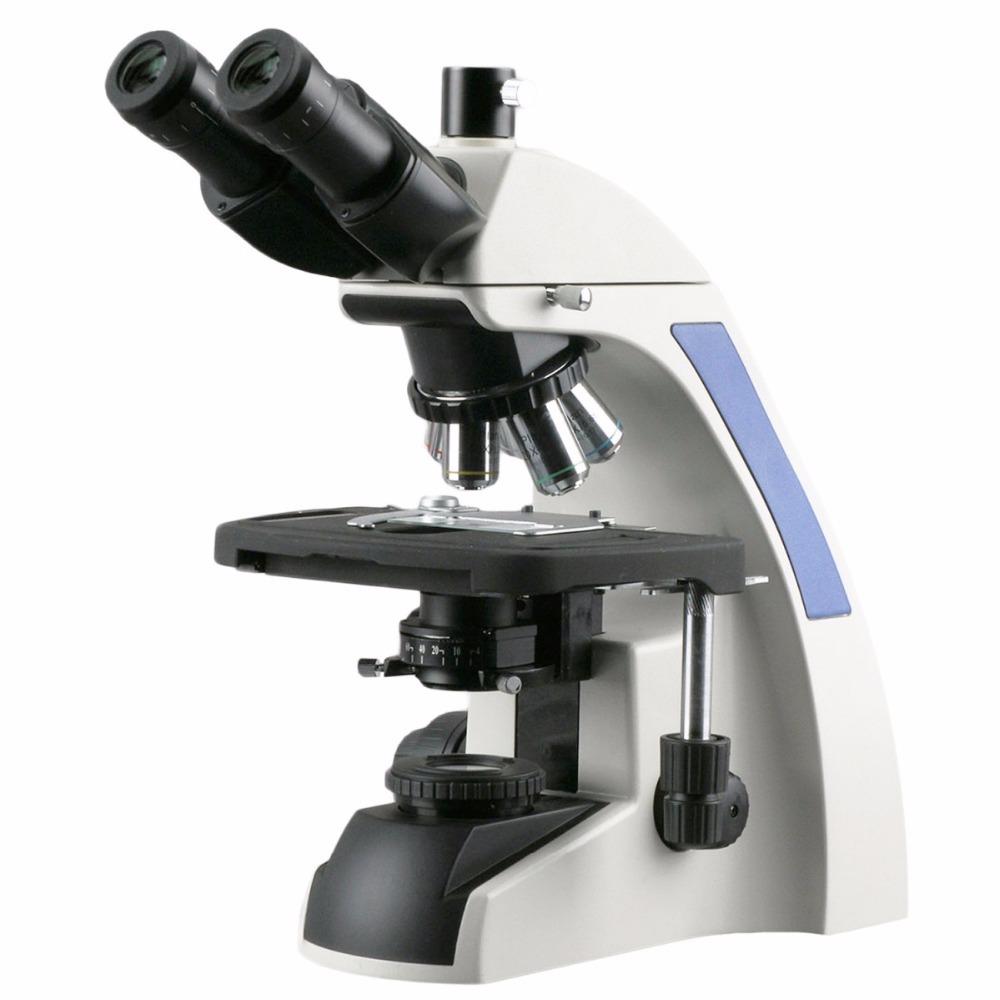 Mikroskop Trinokuler AmScope S - Amscope Microscope Compound 40X-1000X ulasan dan harga