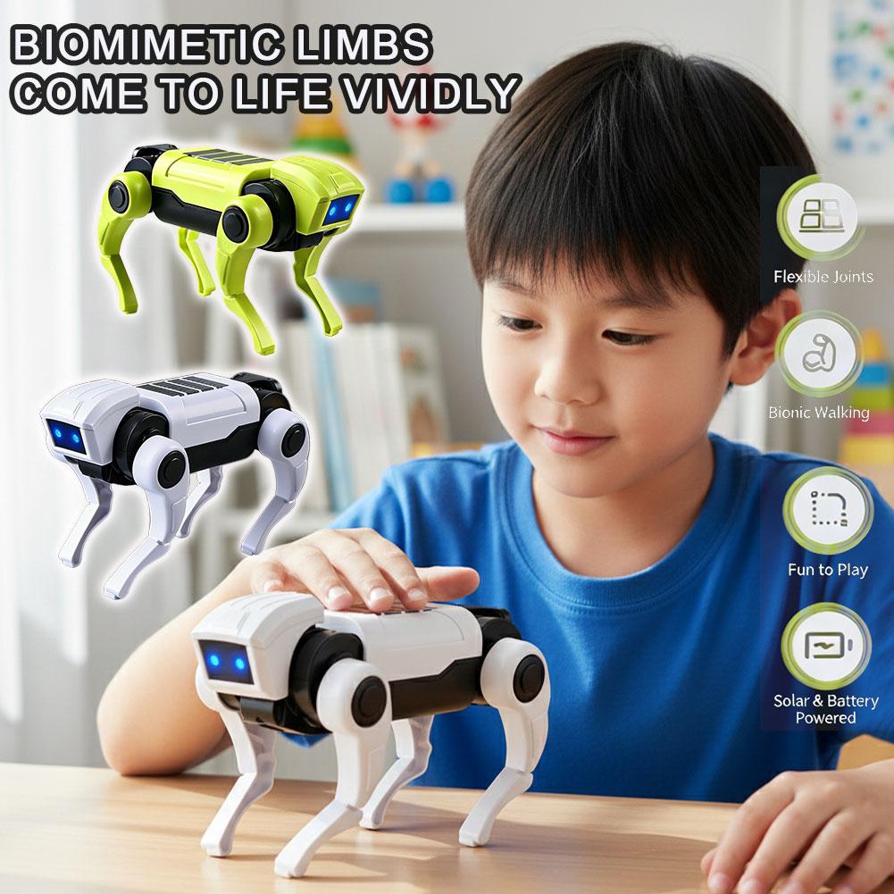 1/2 Buah Robot Rc Mainan Anjin - Science Project Robot ulasan dan harga