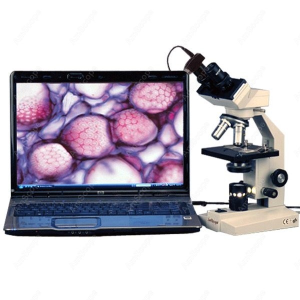 Mikroskop Biologi Binokuler Se - Amscope Microscope Compound 40X-1000X ulasan dan harga
