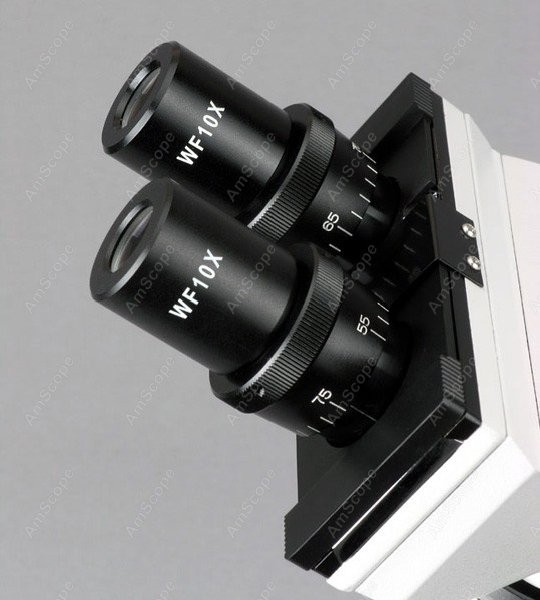 Mikroskop Biologi Binokuler Se - Amscope Microscope Compound 40X-1000X ulasan dan harga