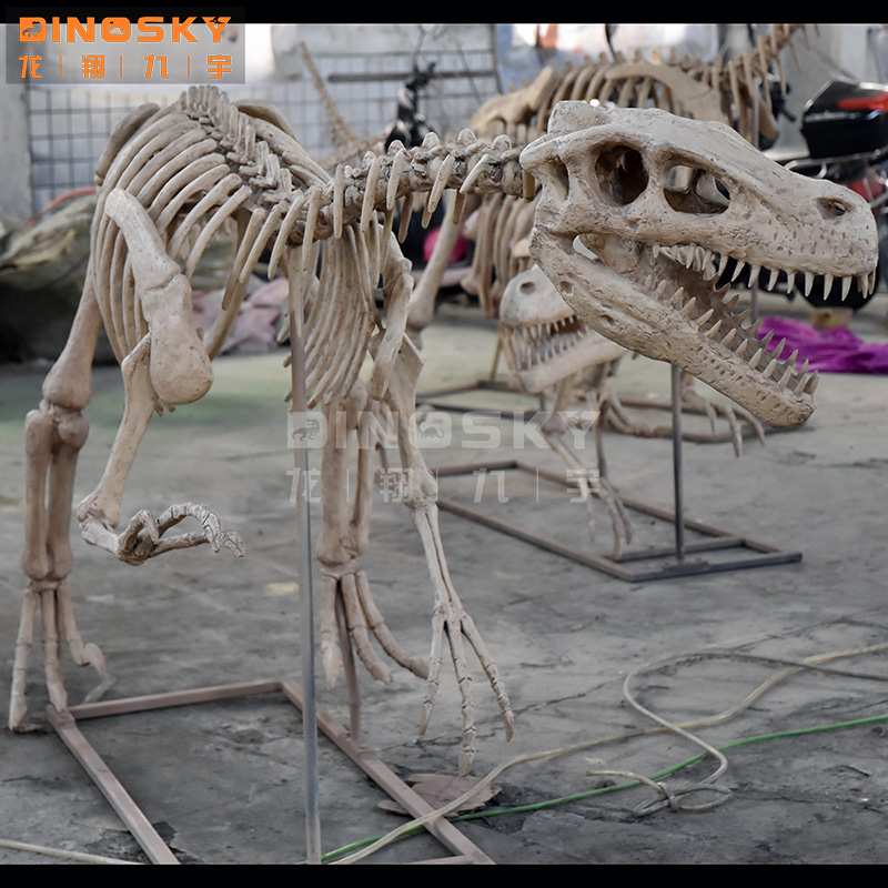 Fosil Kerangka Dinosaurus Resi - Science Exhibition Models ulasan dan harga