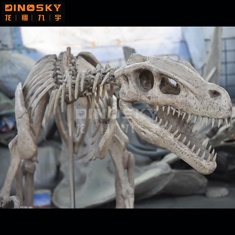 Fosil Kerangka Dinosaurus Resi - Science Exhibition Models ulasan dan harga